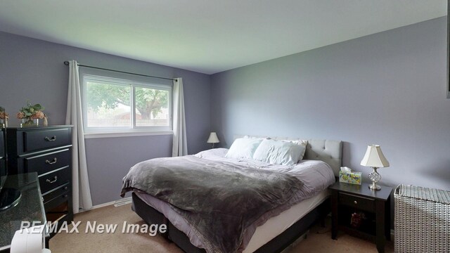 2670 Valley Dr, Saginaw, MI 48603 - photo 24