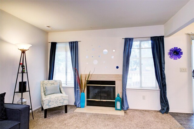 6397 Hunter Pointe St, Westland, MI 48185 - living area featuring plenty of natural light, carpet, and a fireplace with flush hearth