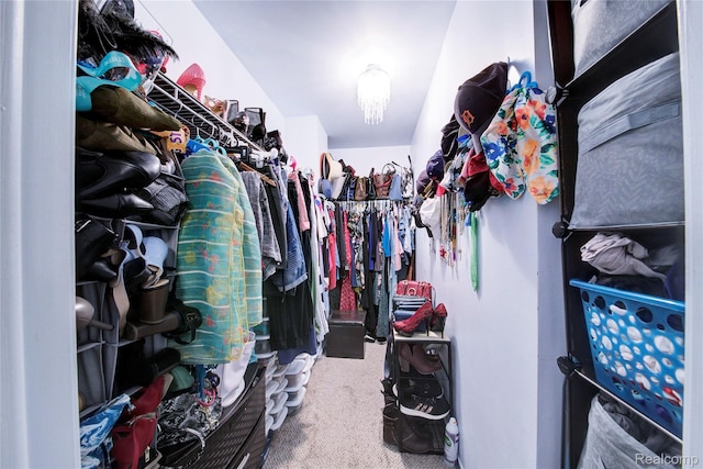 6397 Hunter Pointe St, Westland, MI 48185 - walk in closet with carpet