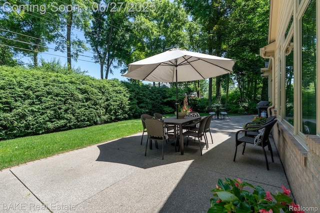 1350 Woodland Pl, Plymouth, MI 48170 - photo 12