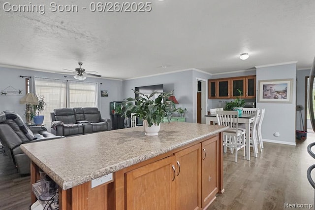 26317 Cherokee E, Flat Rock, MI 48134 - kitchen featuring wood finished floors, crown molding, a center island, a ceiling fan, and light countertops