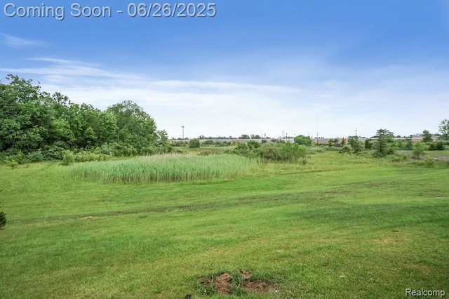 26317 Cherokee E, Flat Rock, MI 48134 - view of green lawn featuring a view of rural / pastoral area
