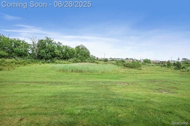 26317 Cherokee E, Flat Rock, MI 48134 - view of yard featuring a view of rural / pastoral area