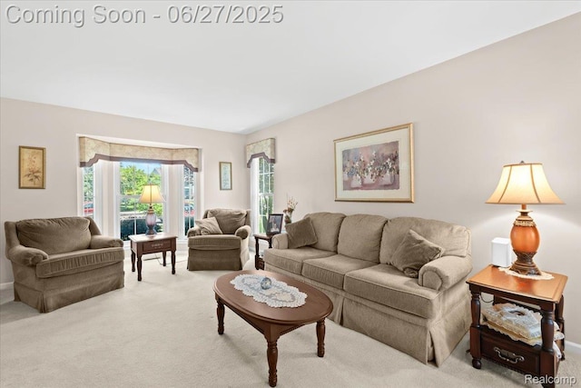 1183 Colt Dr, South Lyon, MI 48178 - photo 9