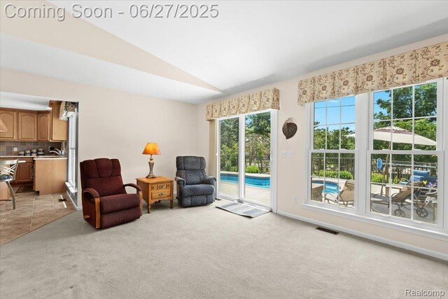 1183 Colt Dr, South Lyon, MI 48178 - photo 18