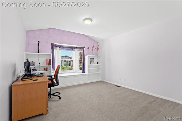 1183 Colt Dr, South Lyon, MI 48178 - photo 27