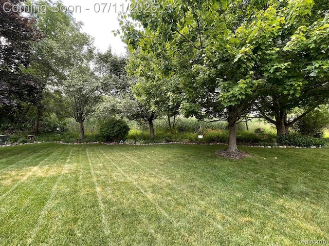 6907 Kings Mill Dr, Canton, MI 48187 - view of green lawn