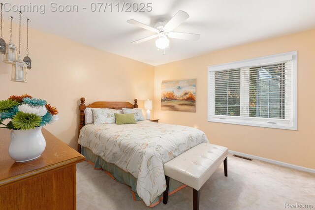 6907 Kings Mill Dr, Canton, MI 48187 - photo 24