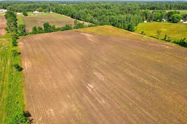 8075 Caine Rd, Millington, MI 48746 - aerial view of a heavily wooded area