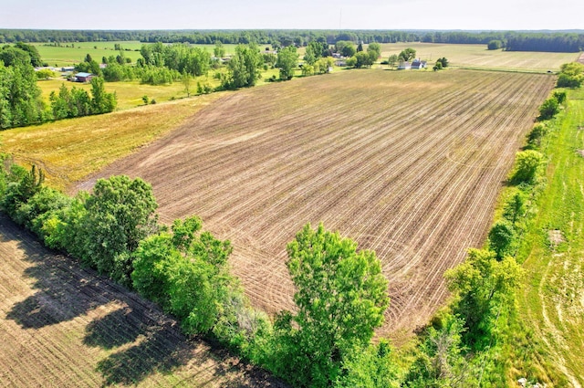 8075 Caine Rd, Millington, MI 48746 - overview of rural landscape with large plots for crops