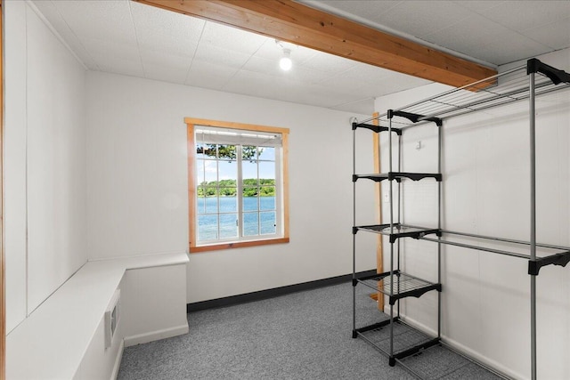 12915 S Englewright Dr, Sand Lake, MI 49343 - spacious closet featuring carpet flooring