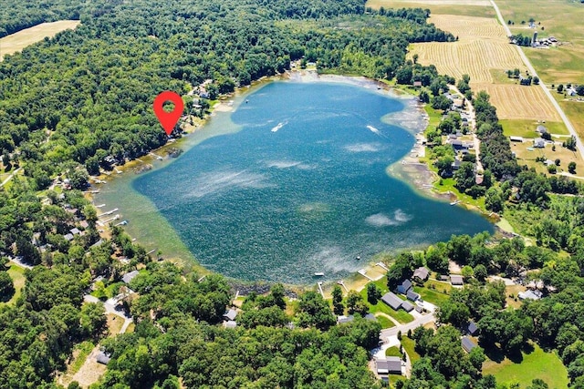 12915 S Englewright Dr, Sand Lake, MI 49343 - aerial view of property and surrounding area featuring a large body of water