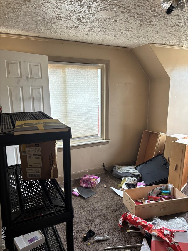 16551 Ardmore St, Detroit, MI 48235 - bonus room with carpet