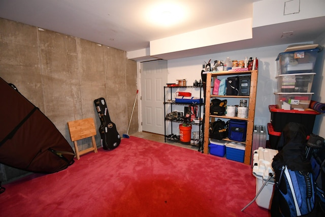 13354 Stover Rd, Charlevoix, MI 49720 - finished basement with carpet