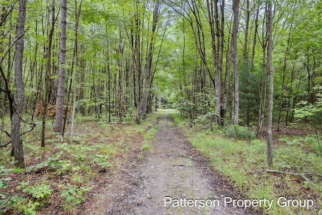 6825 Heights Ravenna Rd, Fruitport, MI 49415 - photo 35