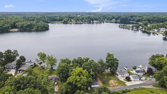12349 N Sherman Lake Dr, Augusta, MI 49012 - aerial perspective of suburban area featuring a large body of water and a forest