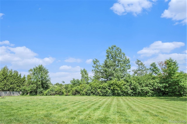 7471 Brewer Rd, Flint, MI 48507 - view of yard