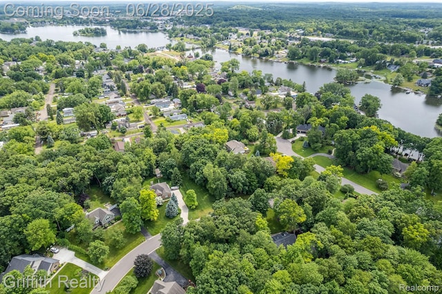 8123 Baypointe Dr, Brighton, MI 48114 - view of property location with a large body of water