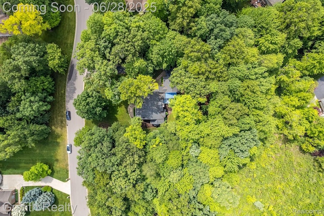 8123 Baypointe Dr, Brighton, MI 48114 - bird's eye view