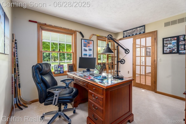 8123 Baypointe Dr, Brighton, MI 48114 - home office featuring light carpet and a textured ceiling