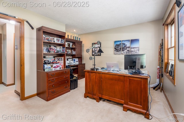 8123 Baypointe Dr, Brighton, MI 48114 - office space featuring light colored carpet and a textured ceiling