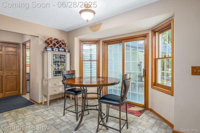 8123 Baypointe Dr, Brighton, MI 48114 - dining space with stone finish flooring and baseboards