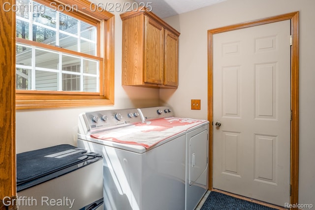 8123 Baypointe Dr, Brighton, MI 48114 - washroom featuring washer and clothes dryer and cabinet space