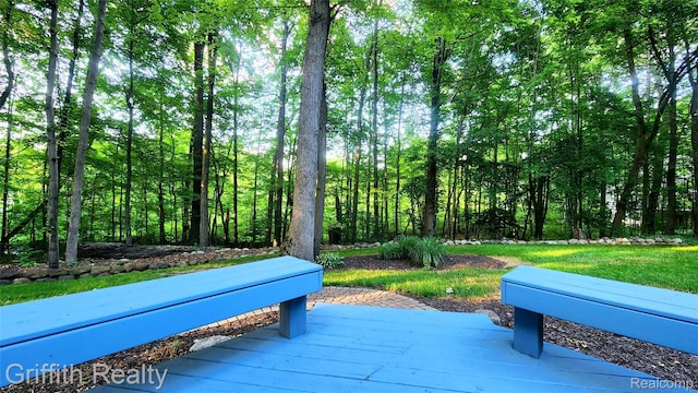 8123 Baypointe Dr, Brighton, MI 48114 - view of home's community featuring a view of trees