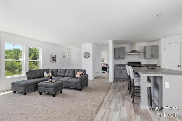 19150 Yankee Rd, Morley, MI 49336 - living room with ornamental molding, light wood-type flooring, and recessed lighting