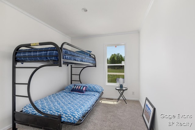 19150 Yankee Rd, Morley, MI 49336 - bedroom featuring crown molding and carpet floors