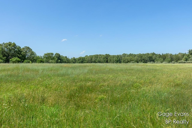 19150 Yankee Rd, Morley, MI 49336 - view of undeveloped land with rural landscape