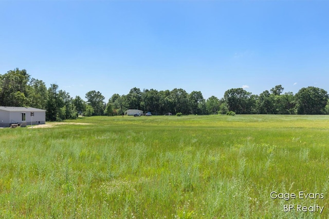 19150 Yankee Rd, Morley, MI 49336 - view of yard featuring a rural view