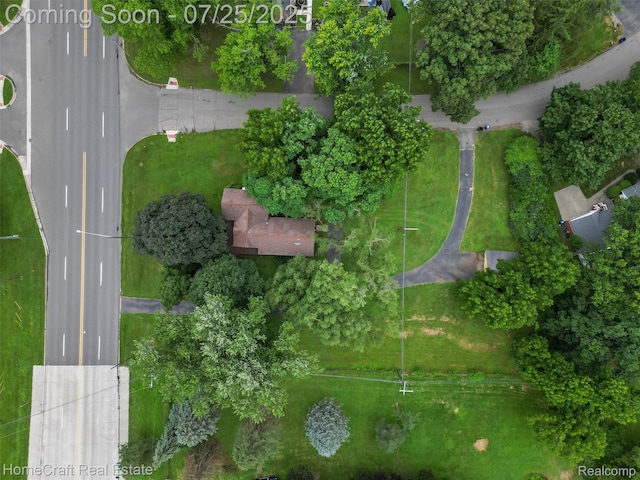 26830 W 6 Mile Rd, Redford, MI 48240 - photo 10