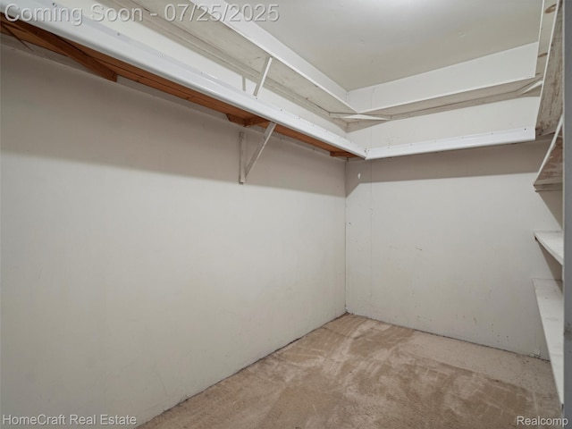 26830 W 6 Mile Rd, Redford, MI 48240 - photo 39