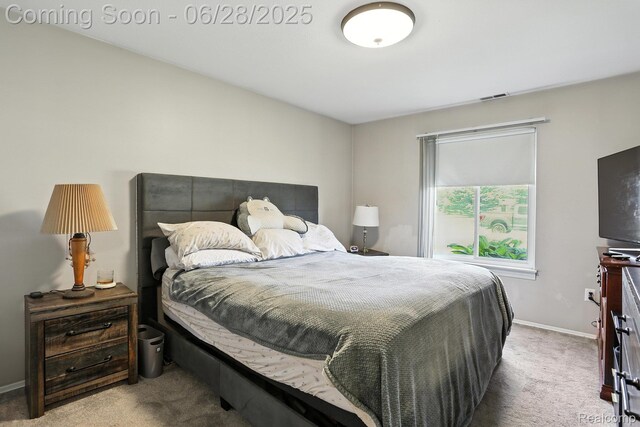 15127 Seagull Dr, Sterling Heights, MI 48313 - photo 14