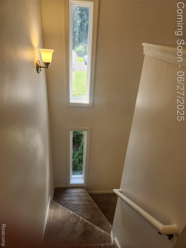 361 Irons Park Dr, West Branch, MI 48661 - staircase with carpet floors and baseboards