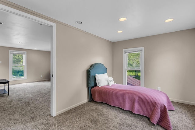 123 Fairview St, Hanover, MI 49241 - carpeted bedroom with recessed lighting and baseboards