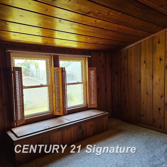 506 Meadowlawn St, Saginaw, MI 48604 - photo 23