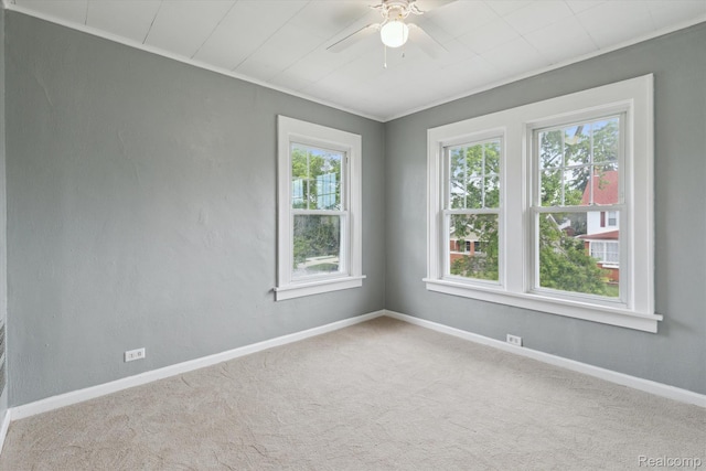 206 Arbor Ave, Monroe, MI 48162 - photo 21