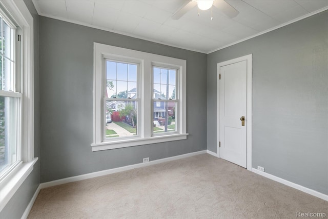 206 Arbor Ave, Monroe, MI 48162 - photo 22