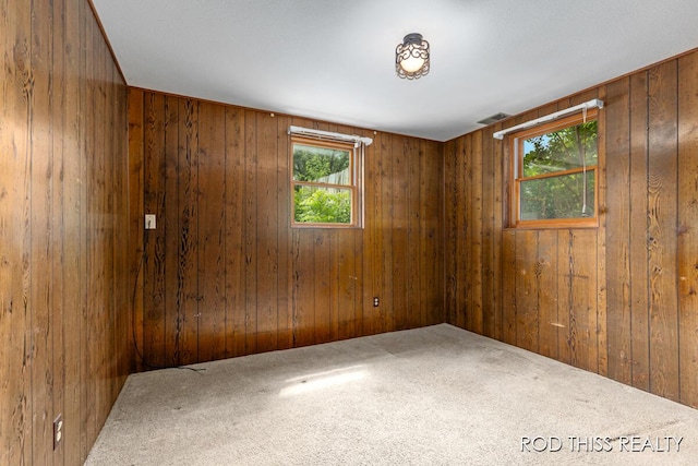 10975 Campanel Dr, Zeeland, MI 49464 - unfurnished room featuring healthy amount of natural light, wooden walls, and carpet floors