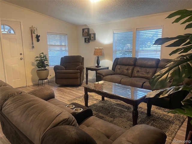43251 Bonaparte, Sterling Heights, MI 48314 - living room featuring crown molding, wood finished floors, healthy amount of natural light, lofted ceiling, and a textured ceiling
