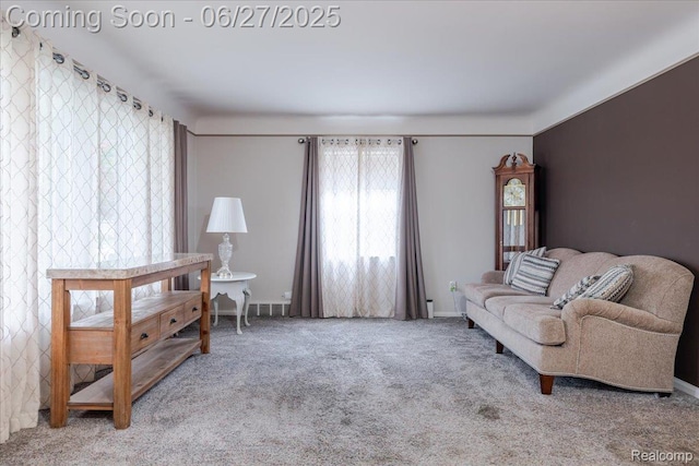 14711 Paris St, Allen Park, MI 48101 - sitting room with carpet flooring