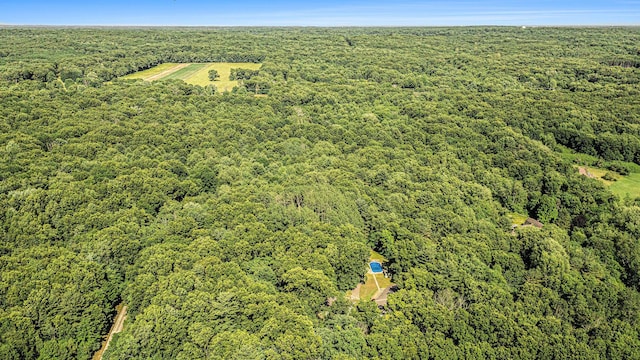 4234 N 2nd St, Kalamazoo, MI 49009 - bird's eye view of a forest