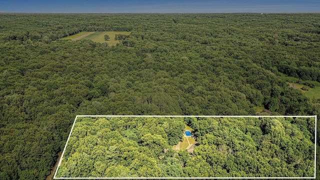4234 N 2nd St, Kalamazoo, MI 49009 - view of property location with a heavily wooded area and property boundaries highlighted