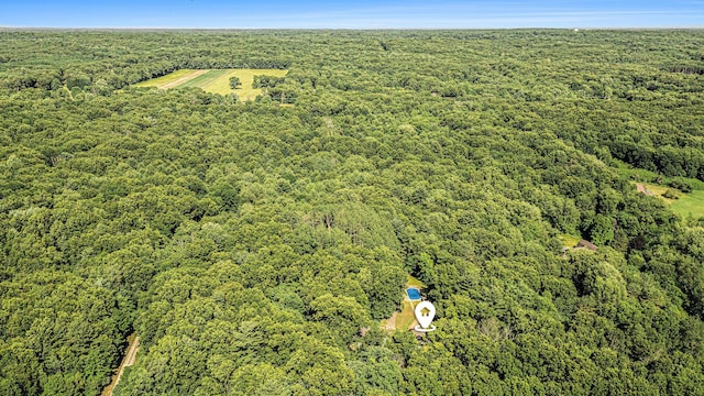 4234 N 2nd St, Kalamazoo, MI 49009 - drone / aerial view of a forest