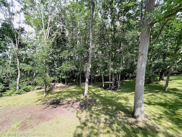 5403 Lenard Cir, Howell, MI 48843 - view of grassy yard
