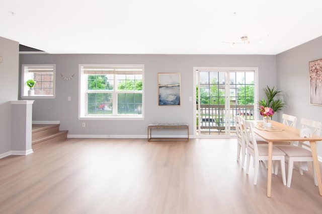 2769 Barclay Way, Ann Arbor, MI 48105 - dining space featuring light wood-style floors and rail lighting