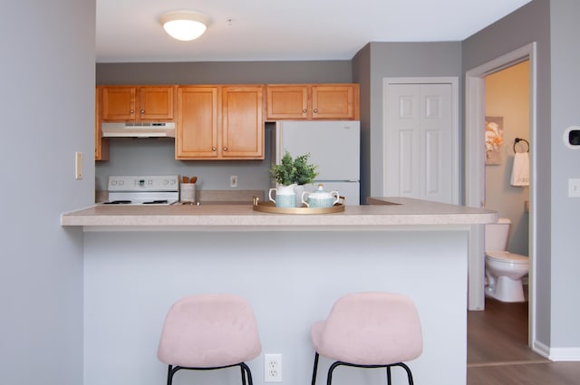 2769 Barclay Way, Ann Arbor, MI 48105 - kitchen with white appliances, under cabinet range hood, a breakfast bar area, and light countertops
