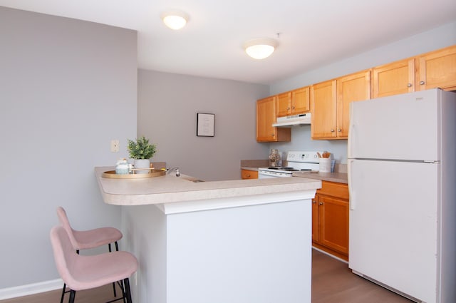 2769 Barclay Way, Ann Arbor, MI 48105 - kitchen with white appliances, under cabinet range hood, a peninsula, and light countertops